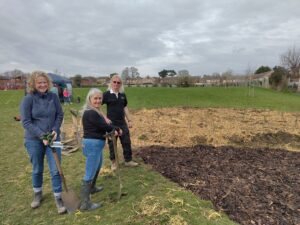 Photo of Tiny Forest planting at The Headlands recreation ground